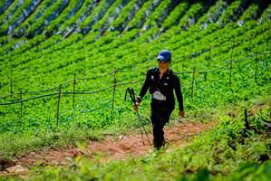 BIB: 
                            <button type="button" onclick="openModal(19163717)" class="btn btn-primary btn-sm float-right btn-popup" data-toggle="modal" data-target=".modal-high-quality">
                        <i class="fas fa-shopping-cart"></i> Add to Cart
                    </button>
                                            <button type="button" onclick="isThisMe(19163717, true)" class="btn btn-success btn-sm float-right btn-popup btn-isme hidden" data-toggle="tooltip" data-placement="bottom" title="นี่คือรูปของคุณใช่ไหม คลิกที่นี่เพื่อเอาเข้าอัลบั้ม">
                        <i class="fas fa-plus"></i> Add to album
                    </button>
                    <button type="button" onclick="isThisMe(19163717, false)" class="btn btn-warning btn-sm float-right btn-popup btn-isnotme hidden">
                        <i class="fas fa-ban"></i> Remove from album
                    </button>